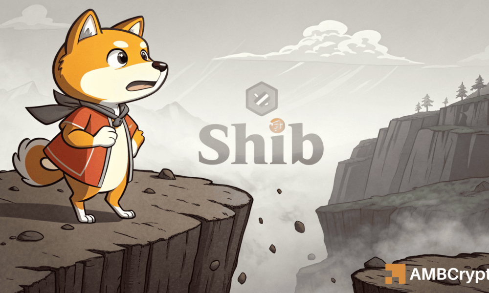 Shiba Inu: Will the Sleeping Whale Move 100B SHIB â€“ Is the Price Set to Drop Further?