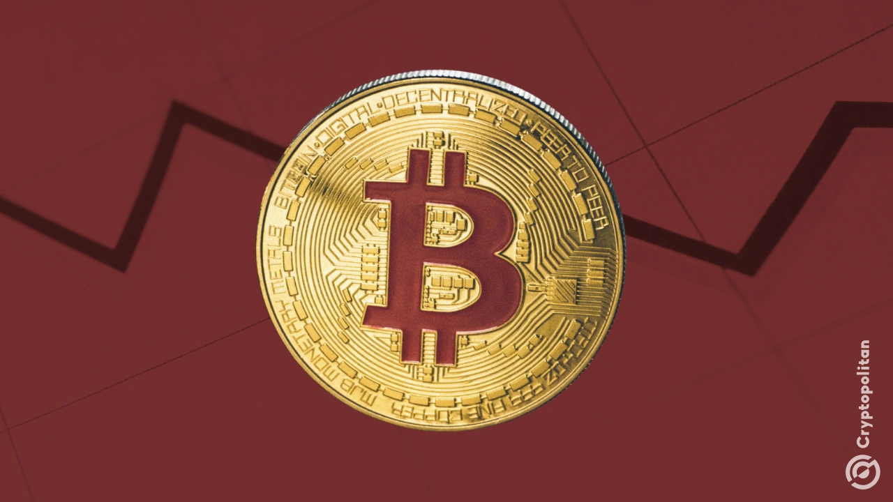 比特币下一步走势或将导致 10 亿美元损失