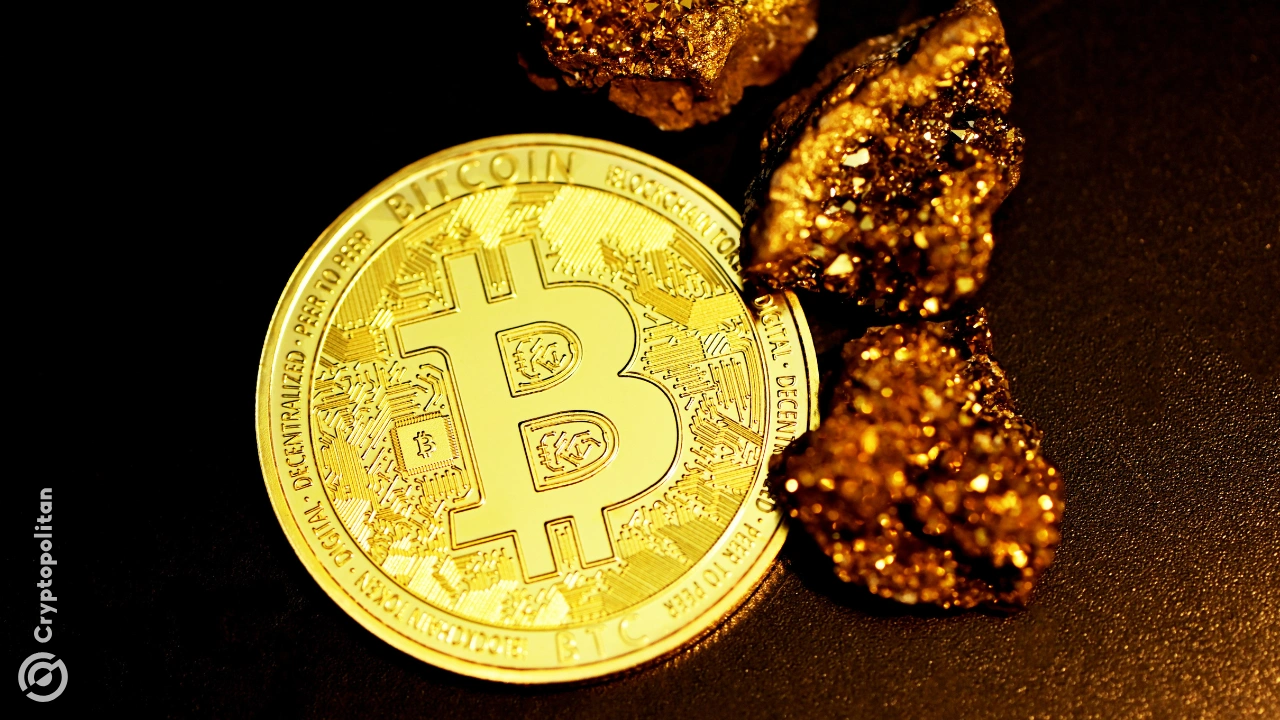 CKpool 推出低延迟矿池,单人比特币矿工赢得 3.175 BTC 奖励