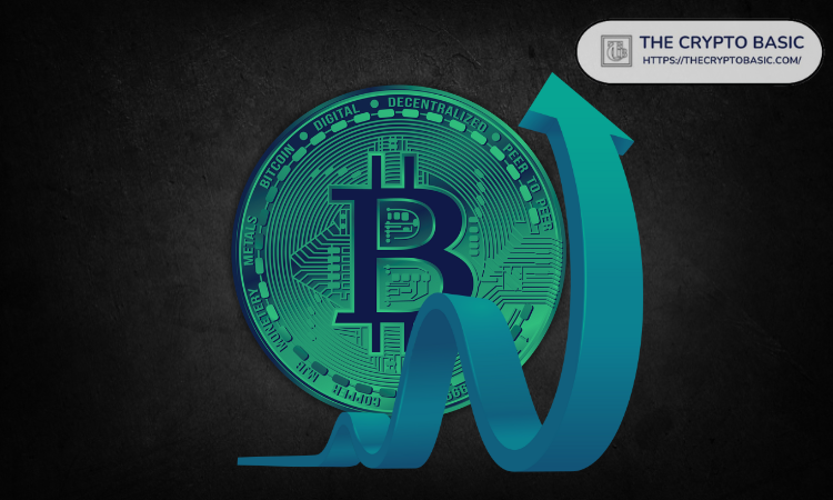Why Bitcoin Price Can Only Go One Way - Up!
